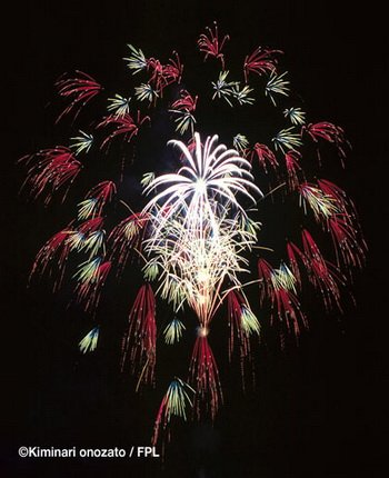 floral shell of shells_spangles